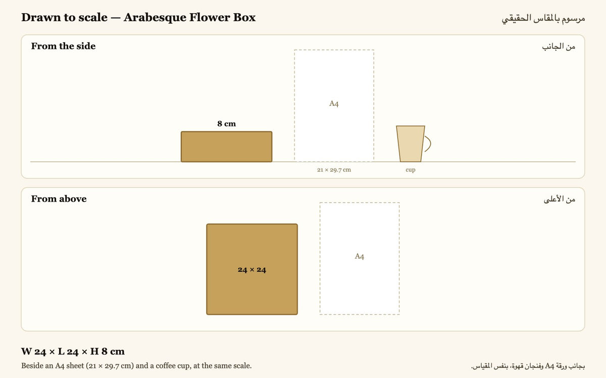 Drawn to scale — W 24 × L 24 × H 8 cm, beside an A4 sheet and a coffee cup · مرسوم بالمقاس الحقيقي بجانب ورقة A4 وفنجان قهوة