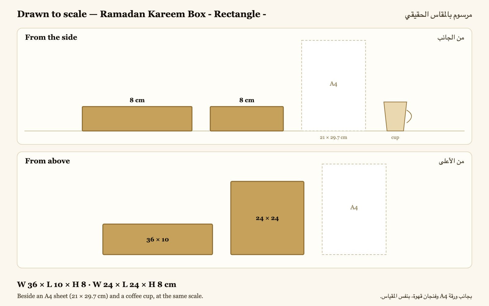 Drawn to scale — W 36 × L 10 × H 8 · W 24 × L 24 × H 8 cm, beside an A4 sheet and a coffee cup · مرسوم بالمقاس الحقيقي بجانب ورقة A4 وفنجان قهوة