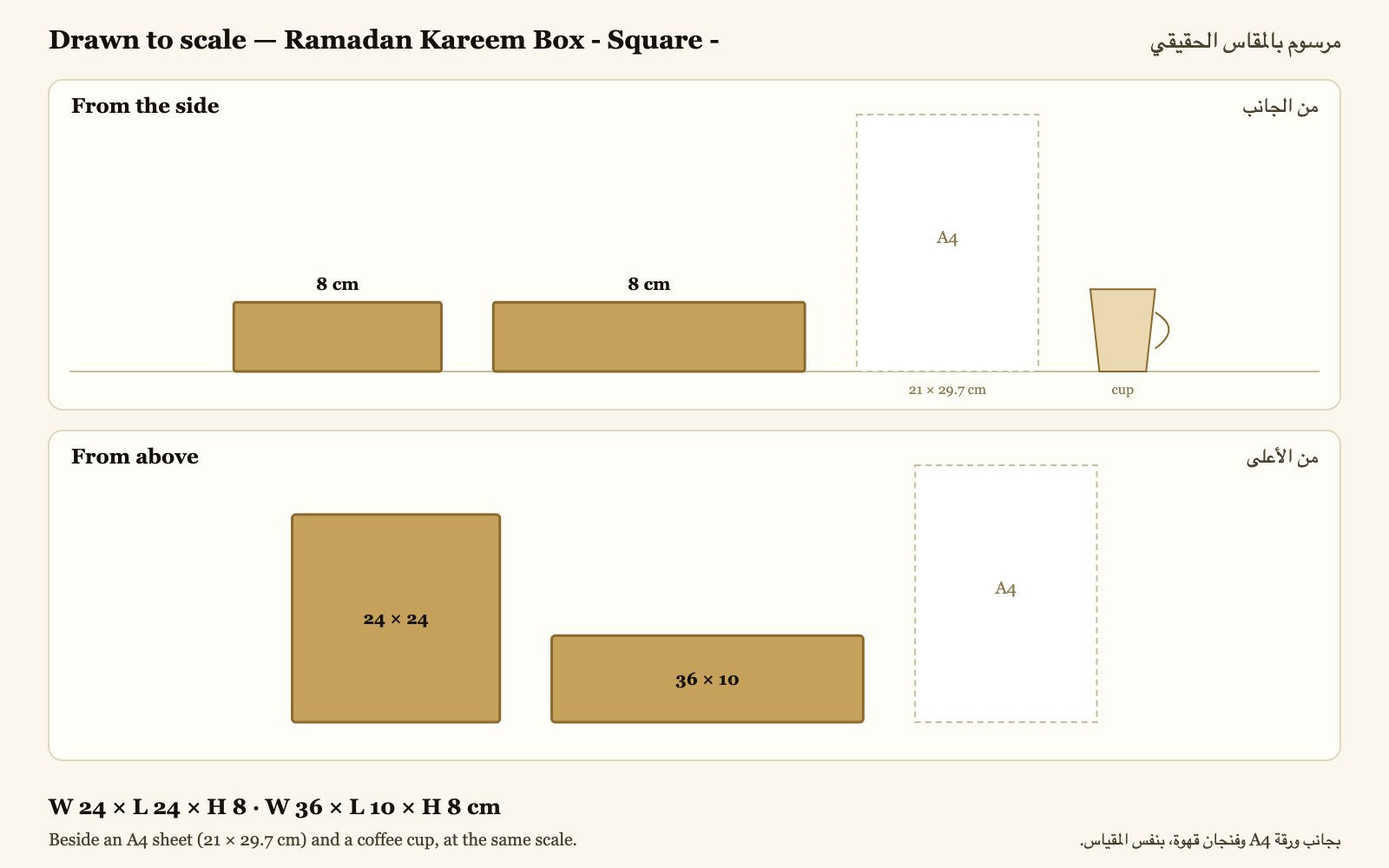 Drawn to scale — W 24 × L 24 × H 8 · W 36 × L 10 × H 8 cm, beside an A4 sheet and a coffee cup · مرسوم بالمقاس الحقيقي بجانب ورقة A4 وفنجان قهوة