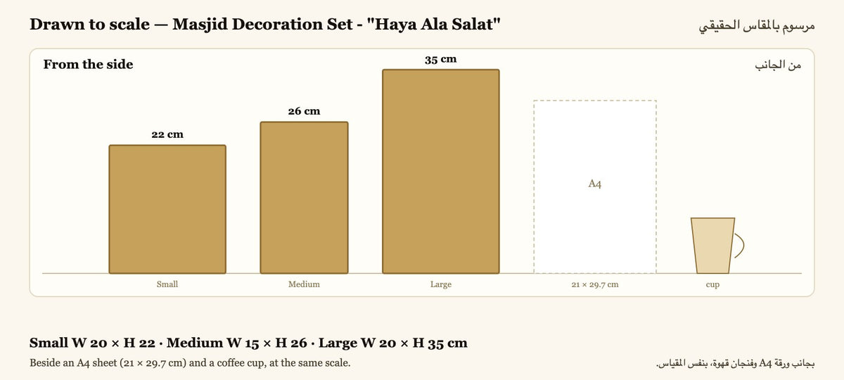 Drawn to scale — Small W 20 × H 22 · Medium W 15 × H 26 · Large W 20 × H 35 cm, beside an A4 sheet and a coffee cup · مرسوم بالمقاس الحقيقي بجانب ورقة A4 وفنجان قهوة