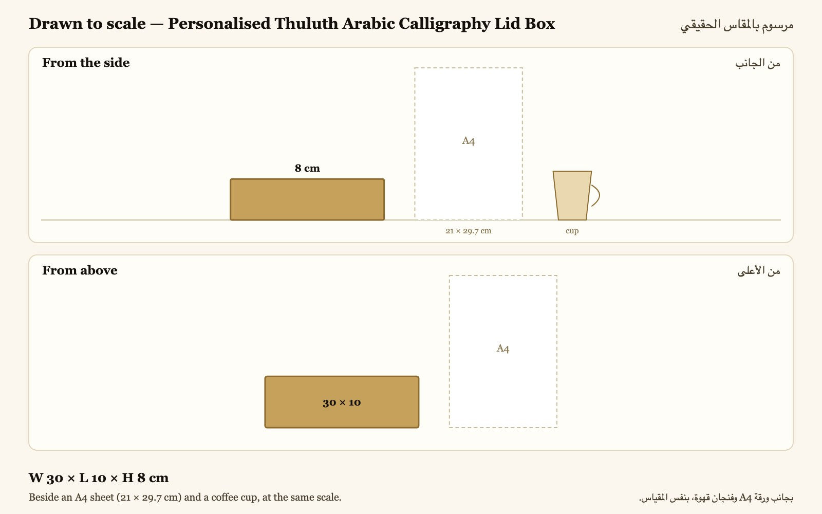 Drawn to scale — W 30 × L 10 × H 8 cm, beside an A4 sheet and a coffee cup · مرسوم بالمقاس الحقيقي بجانب ورقة A4 وفنجان قهوة