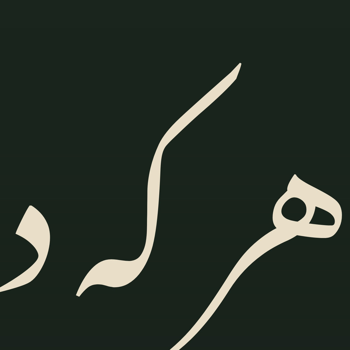 Detail at three times the scale: the strokes of «توانا بود هر که دانا بود», cut from this paint's own design file (not a photograph)