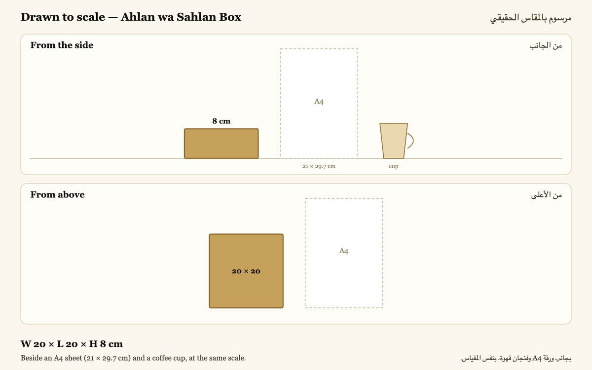 Drawn to scale — W 20 × L 20 × H 8 cm, beside an A4 sheet and a coffee cup