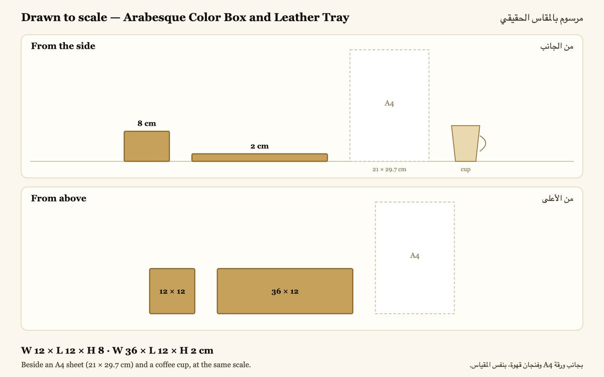 Drawn to scale — W 12 × L 12 × H 8 · W 36 × L 12 × H 2 cm, beside an A4 sheet and a coffee cup
