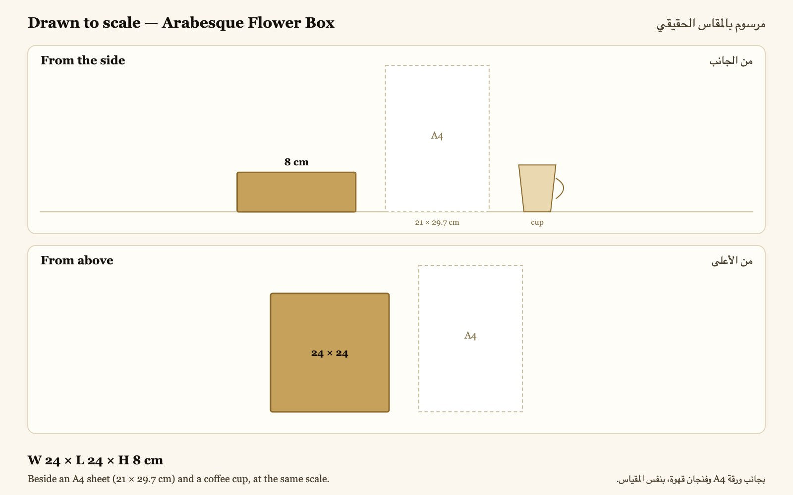 Drawn to scale — W 24 × L 24 × H 8 cm, beside an A4 sheet and a coffee cup · مرسوم بالمقاس الحقيقي بجانب ورقة A4 وفنجان قهوة