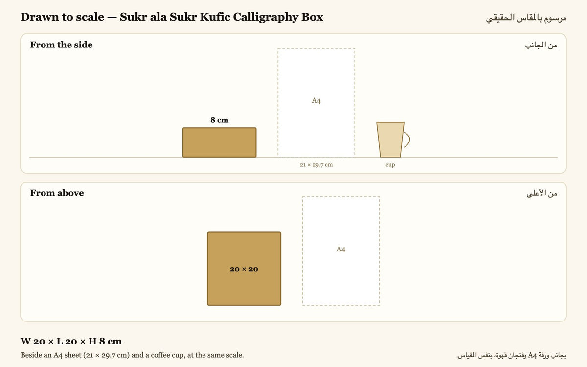 Drawn to scale — W 20 × L 20 × H 8 cm, beside an A4 sheet and a coffee cup · مرسوم بالمقاس الحقيقي بجانب ورقة A4 وفنجان قهوة